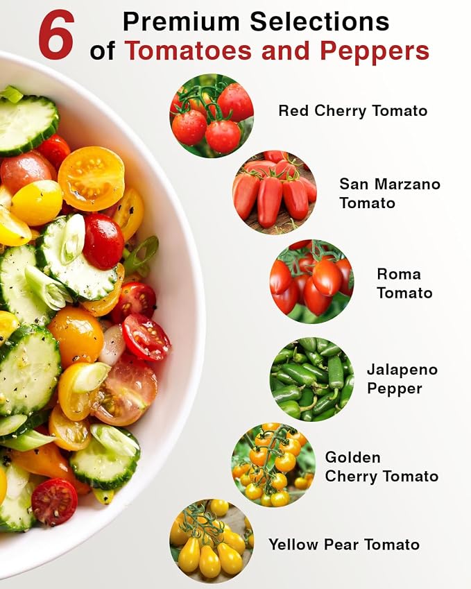 Tomato