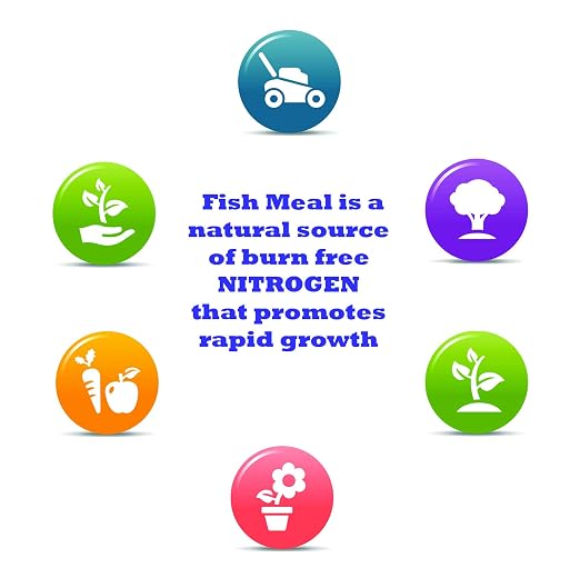 Fish Meal