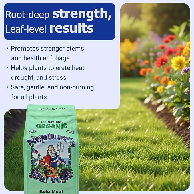 __DEFAULT__