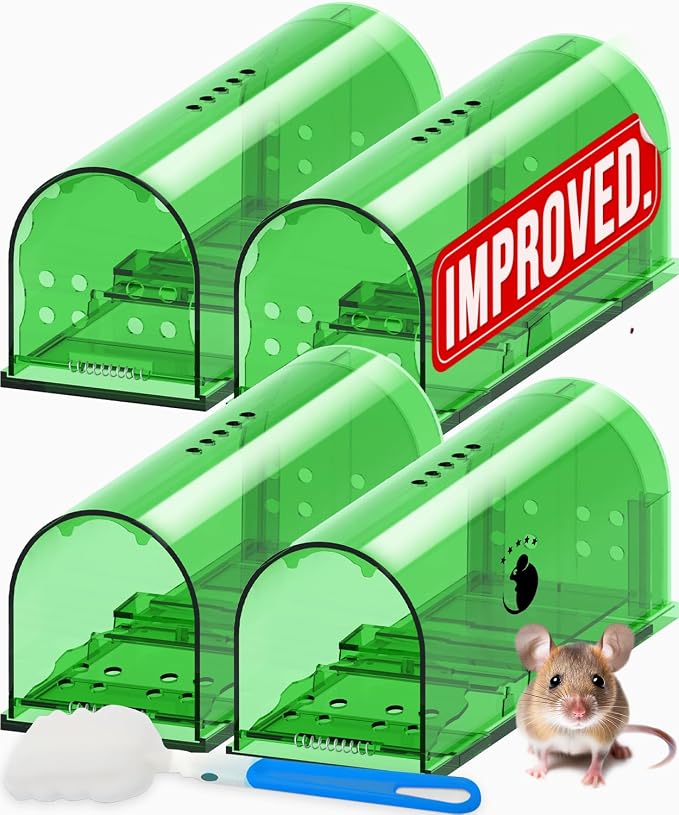 Regular Green 4 Pack