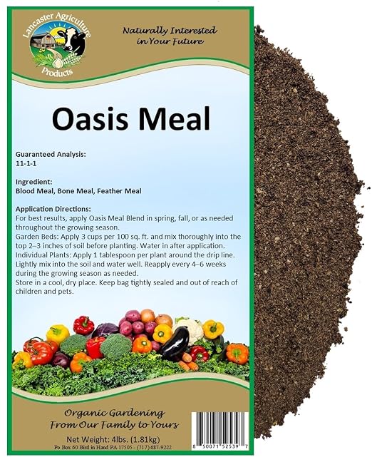 Oasis Meal