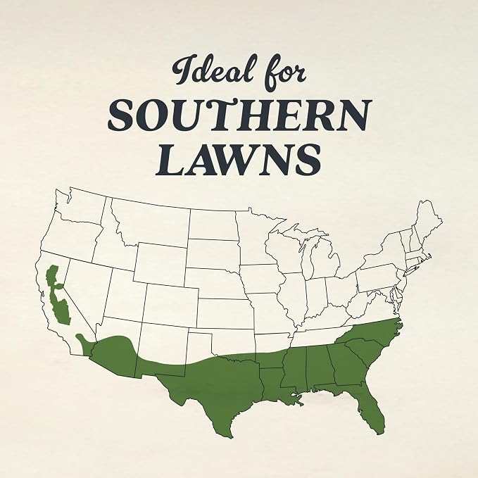 Bermudagrass