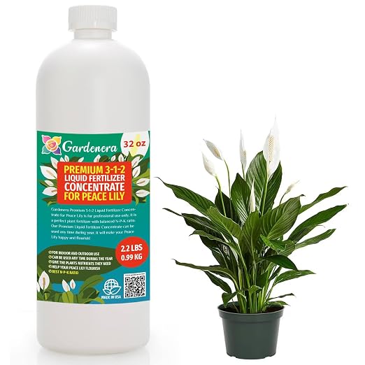 PEACE LILY