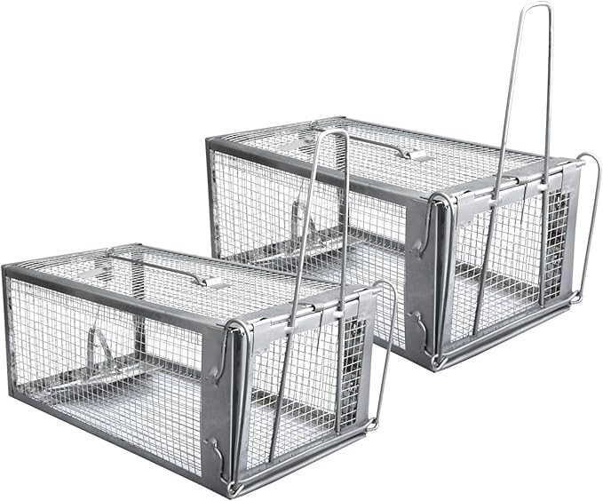 Silver (2-Pack)