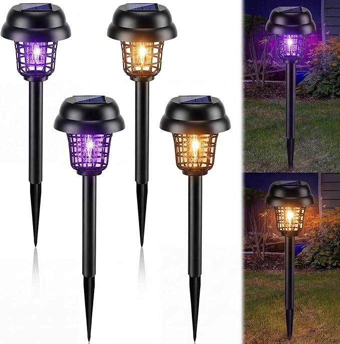 Purple and Warm Light, Black