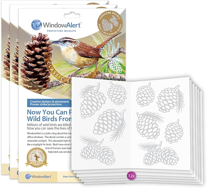 Pinecone