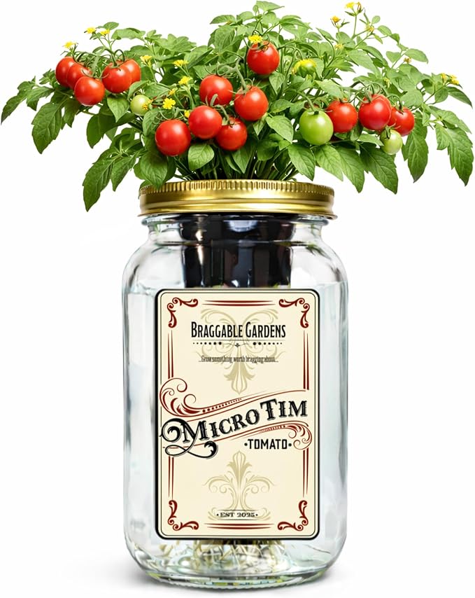 Micro Tim Cherry Tomato