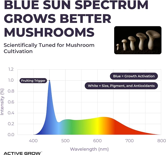 Blue Sun Spectrum