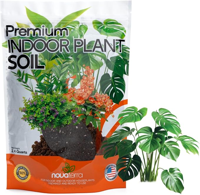 Indoor Plant Soil