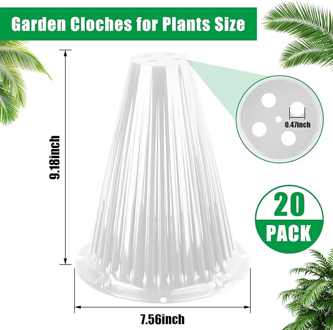 Clear 20pc