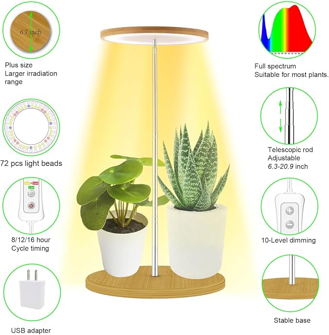Bamboo with Base