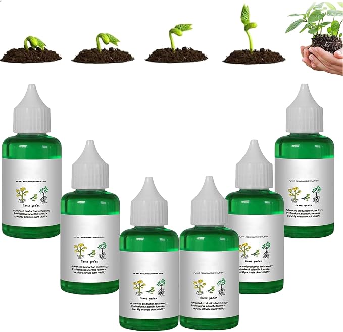 6bottle