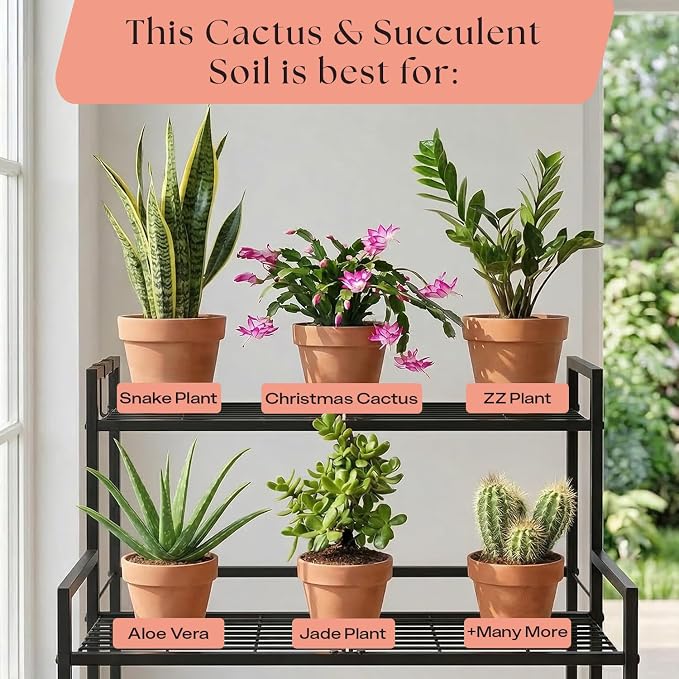 Cactus & Succulent