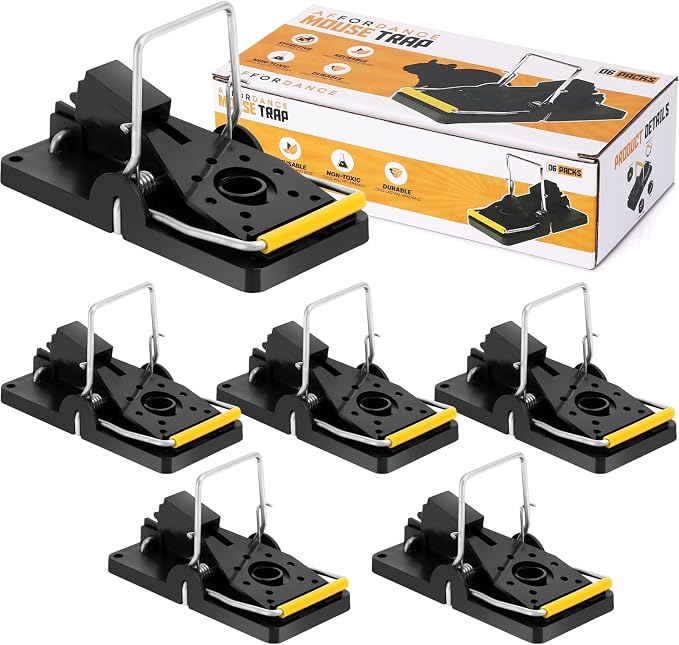 Pack of 6