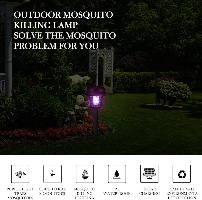 Retro Black Exterior,Purple, White Light