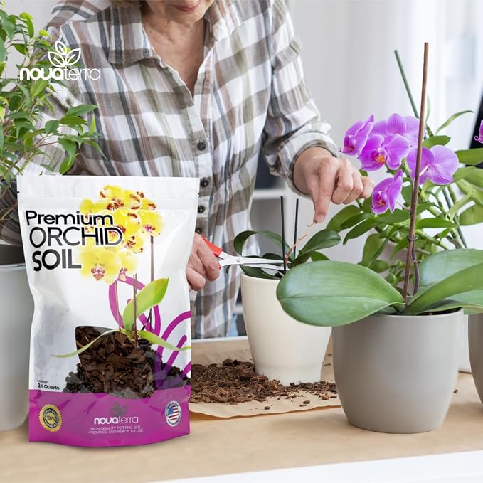 Orchid Soil