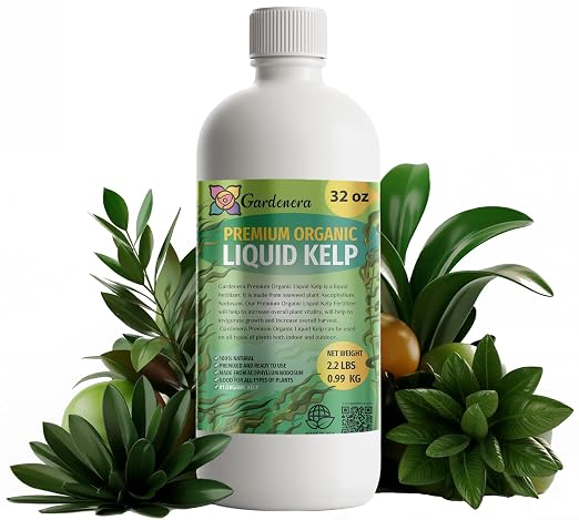 ALL-PURPOSE KELP