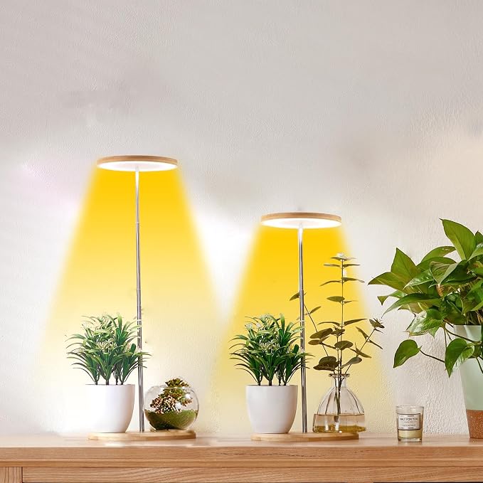 Bamboo with Base