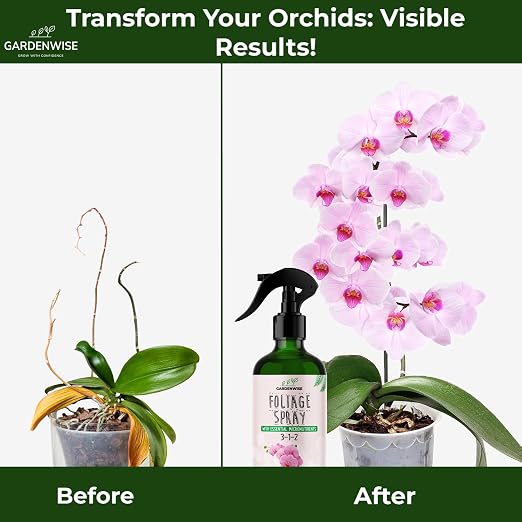 Orchid Food Mist 3-1-2