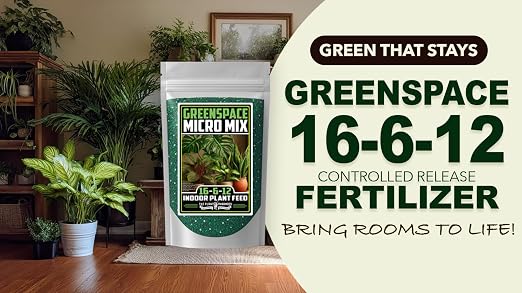 GreenSpace