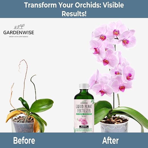 Orchid Food Concentrate 3-1-2