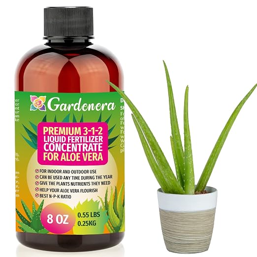 ALOE VERA