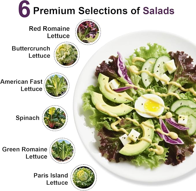 Salad