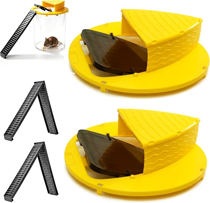 Yellow-2Packs