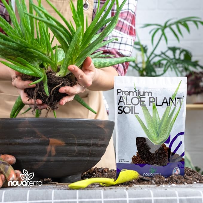 Aloe Vera Soil