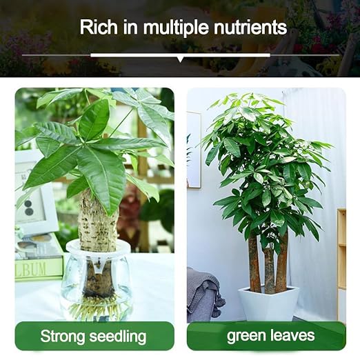 6pcs