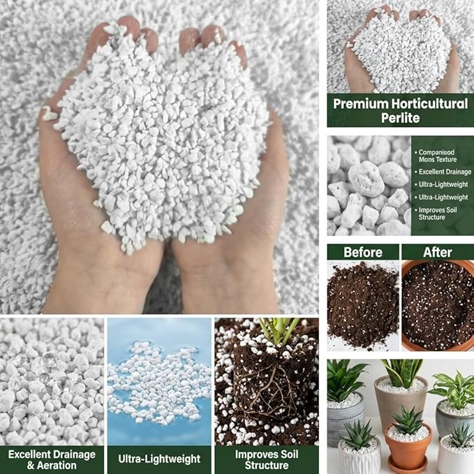 Regular Perlite