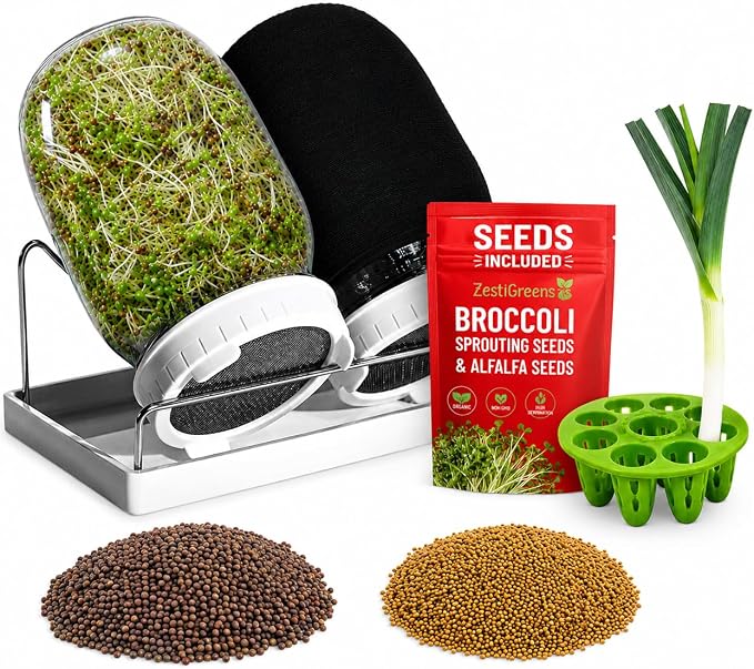 Sprouting Jar with Seeds