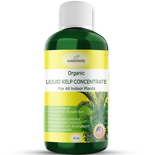 Organic Kelp Hydroponic Fertilizer
