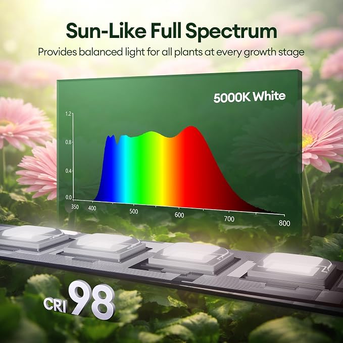 SunLike White