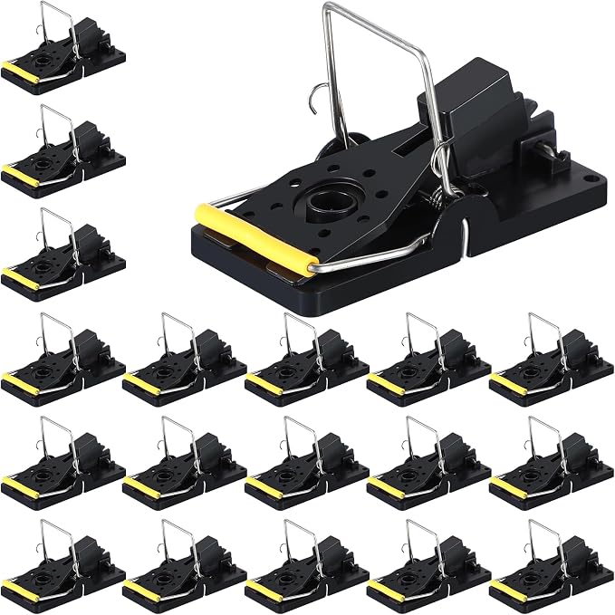Black, Yellow