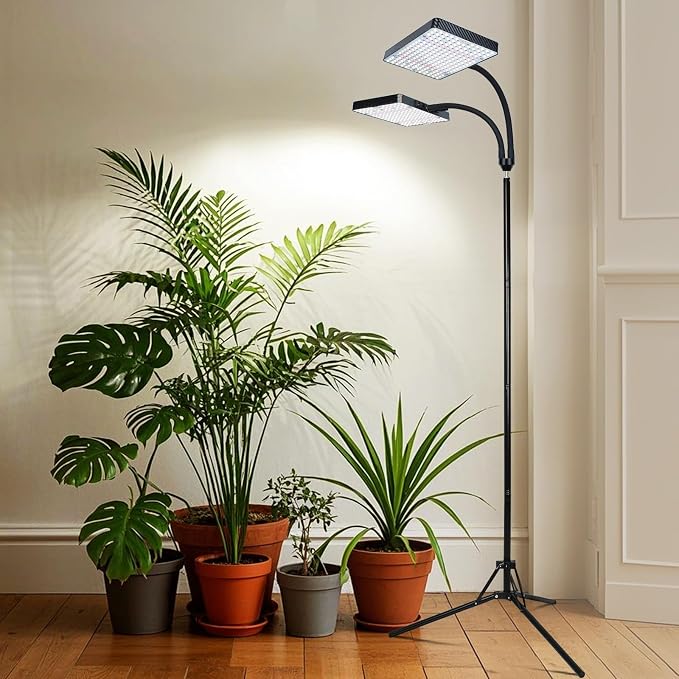 __DEFAULT__