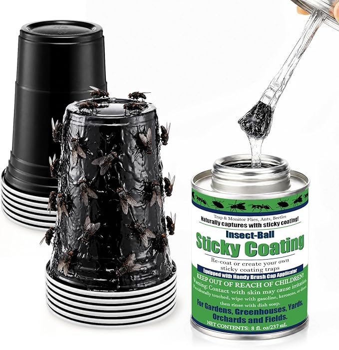 Black Cup