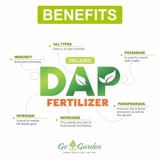 DAP