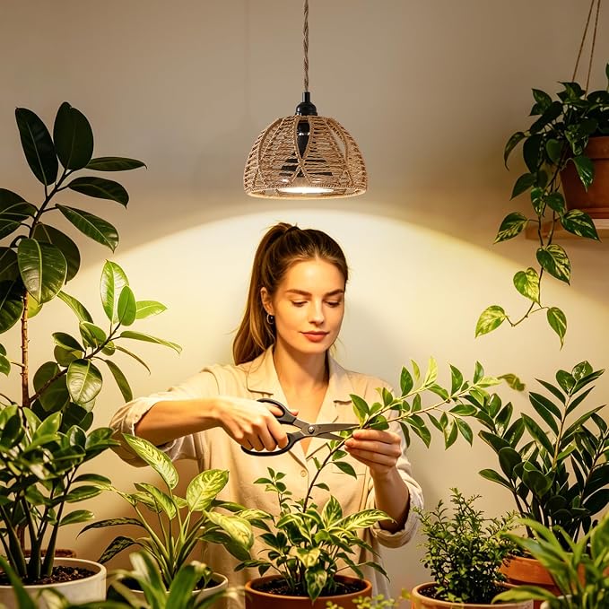 Cage