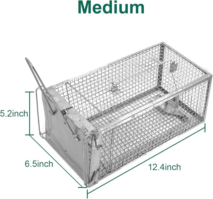 Medium