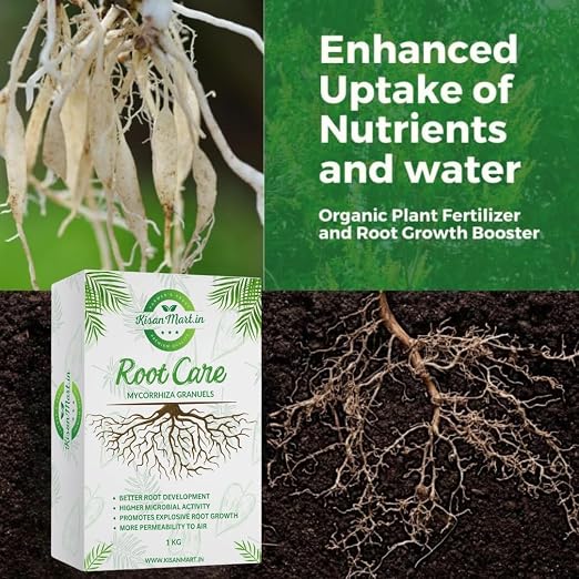 Root Care