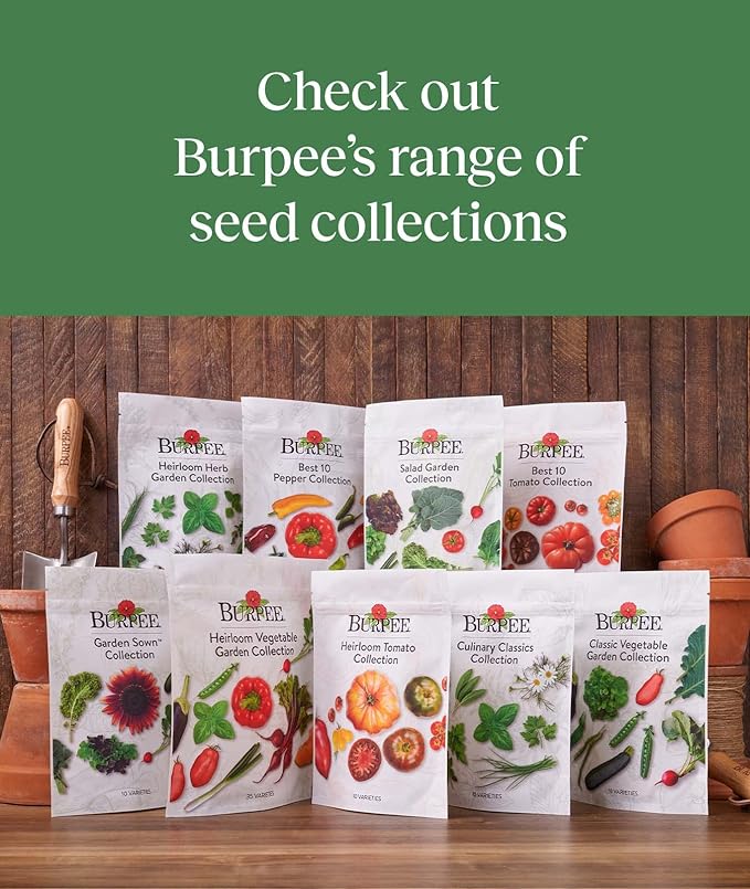Best 10 Pepper Collection