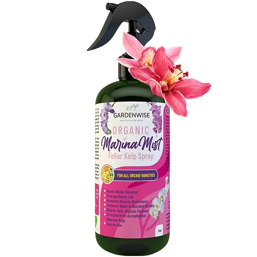 Marina Mist Orchid Spray