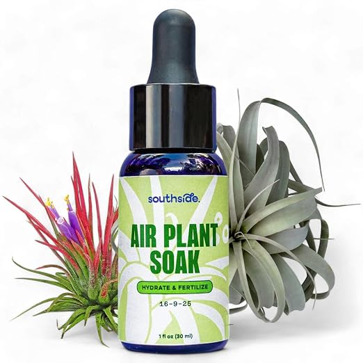 Concentrated Air Plant (1 Oz)