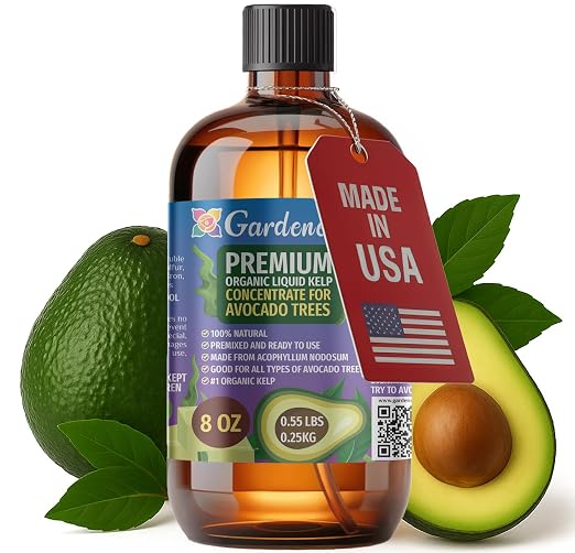 AVOCADO