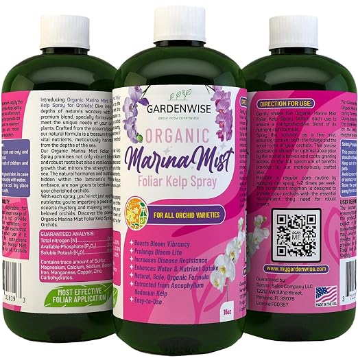 Marina Mist Orchid Spray