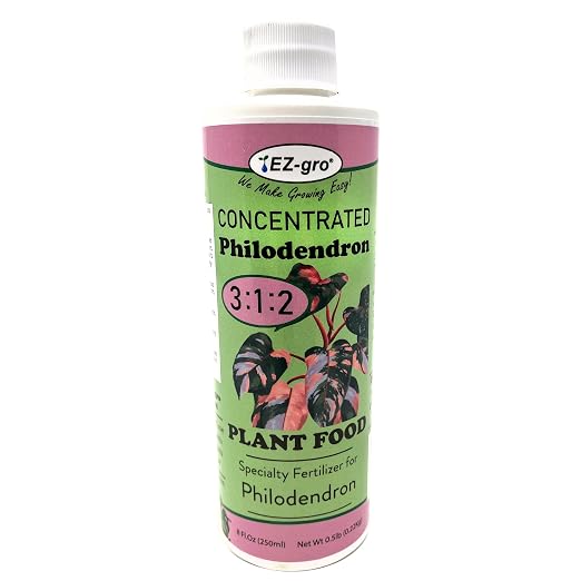 Philodendron