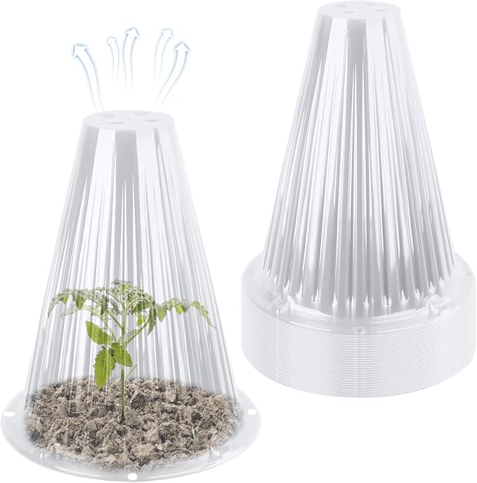 Clear 30pc