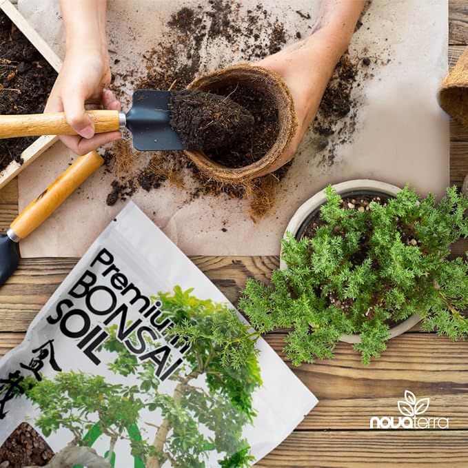 Bonsai Soil