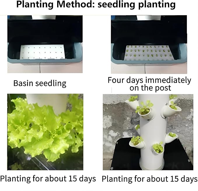 __DEFAULT__
